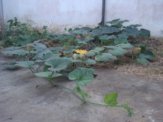 . . . to this, and . . .